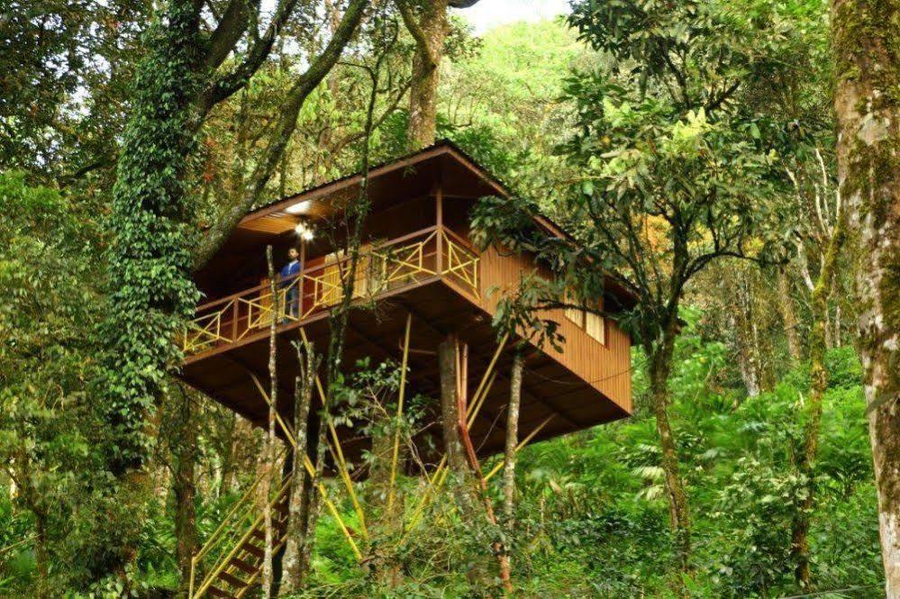 Seven Springs Resort Munnar Dış mekan fotoğraf