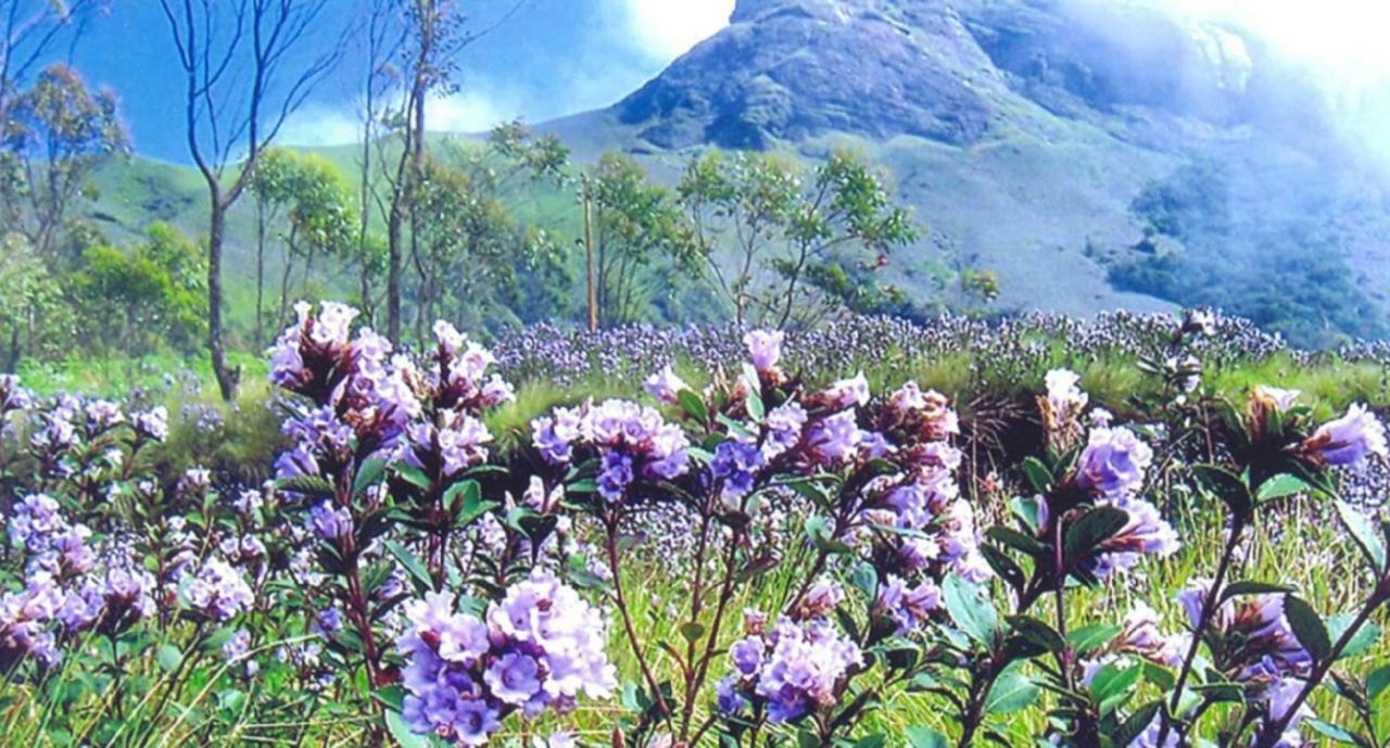 Seven Springs Resort Munnar Dış mekan fotoğraf