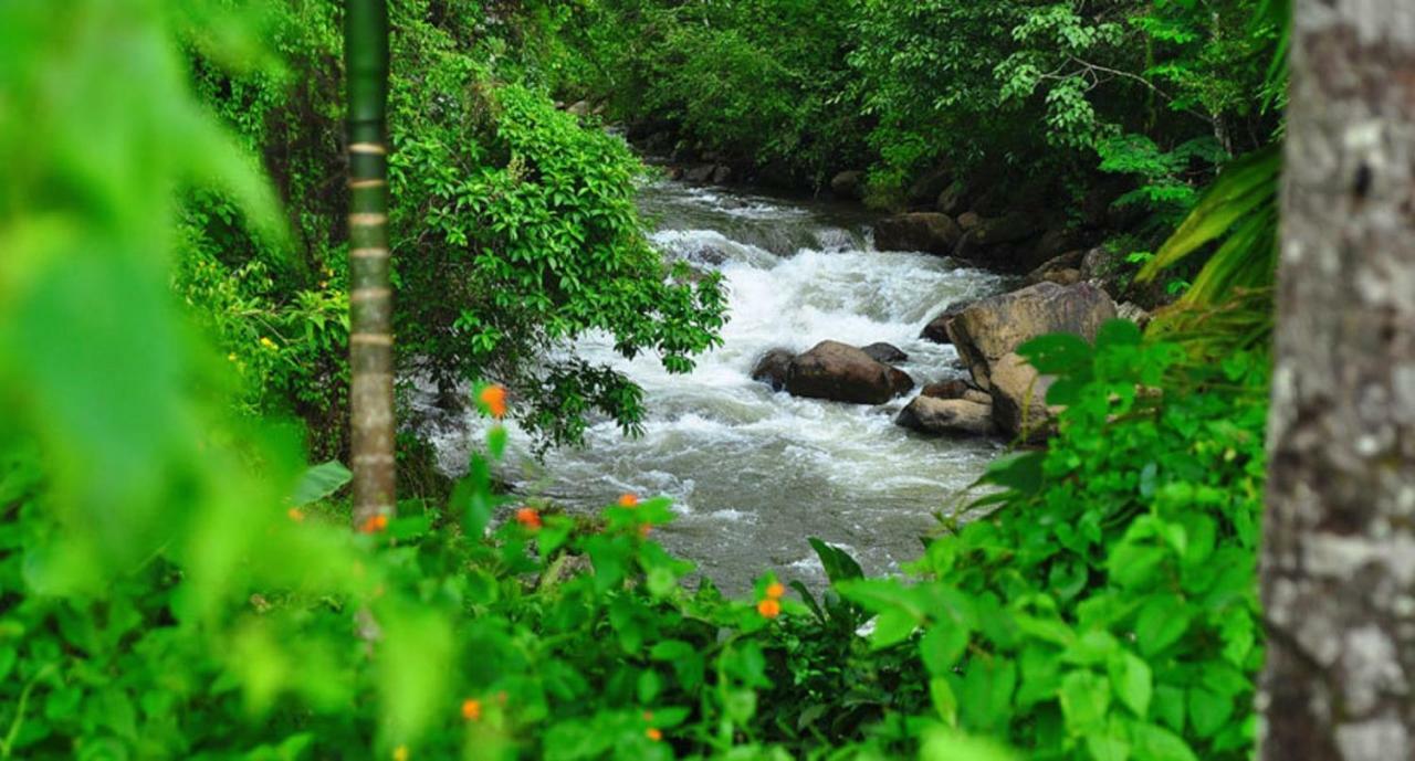 Seven Springs Resort Munnar Dış mekan fotoğraf
