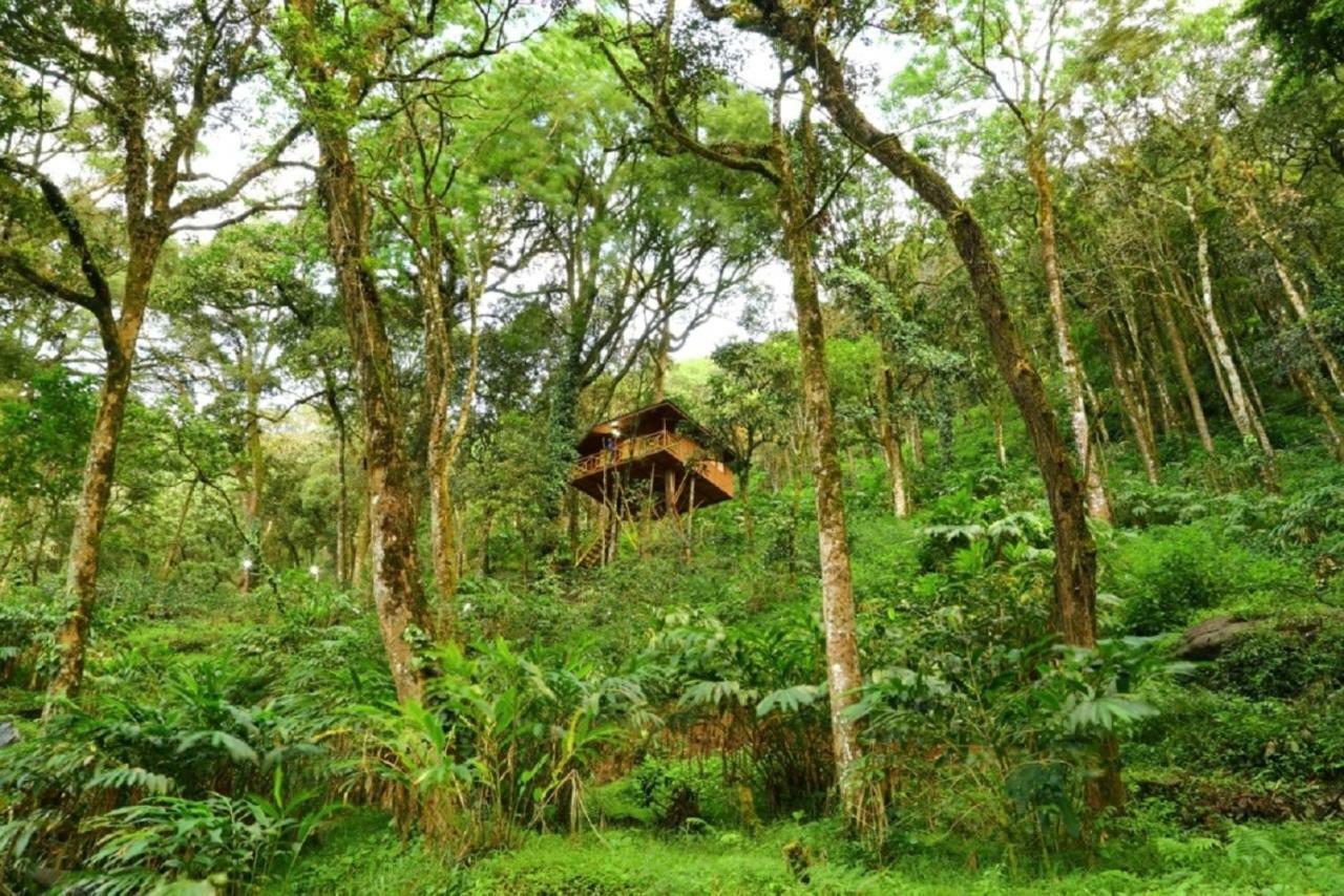 Seven Springs Resort Munnar Dış mekan fotoğraf